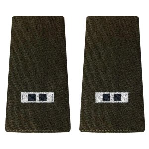 Army AGSU Large Epaulet: Warrant Officer 2