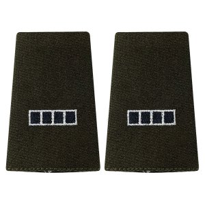 Army AGSU Large Epaulet: Warrant Officer 4