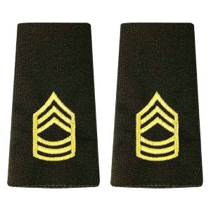 Army AGSU Leather Service Jacket (Bomber) Epaulet: Master Sergeant