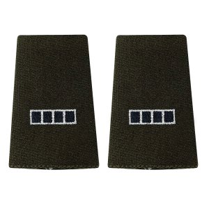 Army AGSU Small Epaulet: Warrant Officer 4