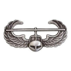 Army Badge: Air Assault, silver oxidized