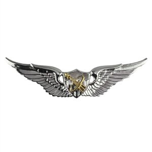 Army Badge: Astronaut, regulation size