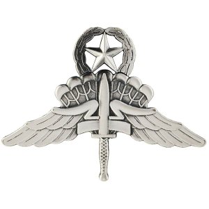 Army Badge: Free Fall Master Jump Wings Halo, silver oxidized