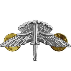 Army Badge: Freefall Jump Wings Halo, regulation size, mirror finish