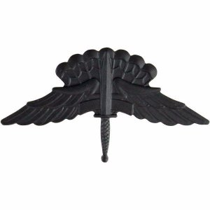 Army Badge: Freefall Jump Wings, regulation size, black metal
