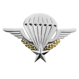 Army Badge: French Jump Wings, Silver/Gold Regulation size