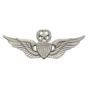 Army Badge: Master Aviator, regulation size, mirror finish
