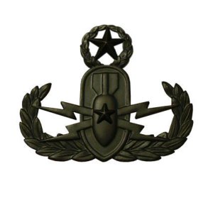 Army Badge: Master Explosive Ordnance Disposal, black metal
