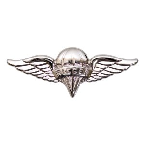 Army Badge: Parachute Rigger, mirror finish