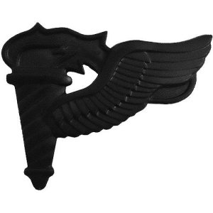 Army Badge: Pathfinder, black metal