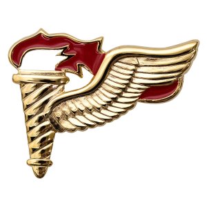 Army Badge: Pathfinder, gold finish