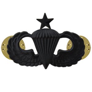 Army Badge: Senior Parachute, regulation size, black metal