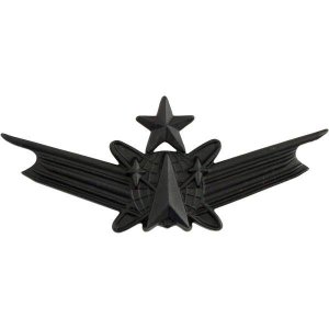 Army Badge: Senior Space Command, regulation size, black metal