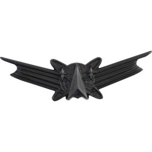 Army Badge: Space Command, regulation size, black metal