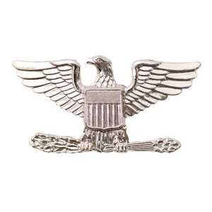 Army Cap Rank: Colonel, large, left side