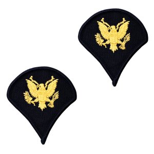 Army Chevron: Specialist 4, gold embroidered on blue, female