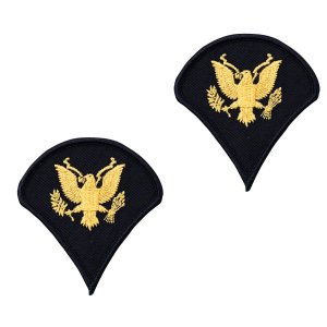 Army Chevron: Specialist 4, gold embroidered on blue, male