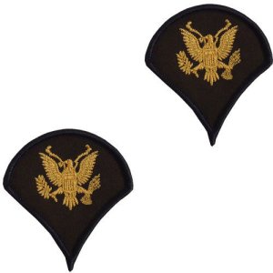 Army Chevron: Specialist 4, gold embroidered on green, male