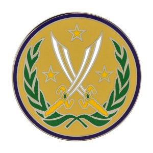 Army Combat Service Identification Badge (CSIB): Element Combined Joint Task Force Operation Inherent Resolve