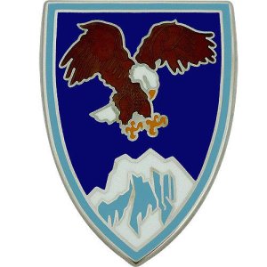 Army Combat Service Identification Badge (CSIB): US Element Combined Forces Command, Afghanistan