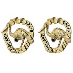 Army Crest: 191st Infantry Brigade, Vigilante Salis