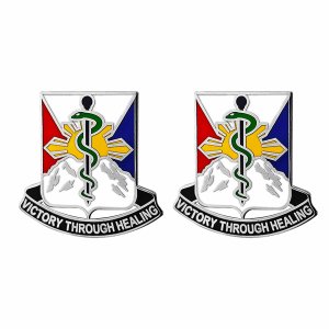 Army Crest: 29th Hospital Center: Motto, Victory Through Healing