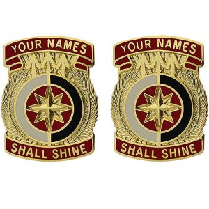 Army Crest: 321st Sustainment Brigade, Your Name Shall Shine