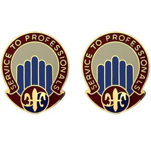 Army Crest: 501st Sustainment Brigade, Service to Professional