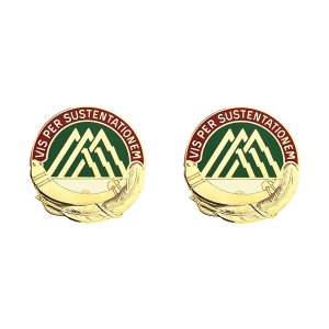 Army Crest: 70th Support Battalion, Vis Per Sustentationem