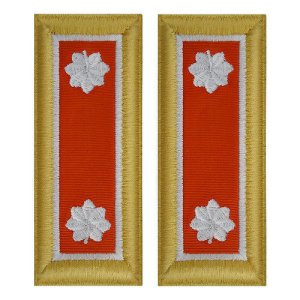 Army Dress Shoulder Strap: Lieutenant Colonel, nylon, Female