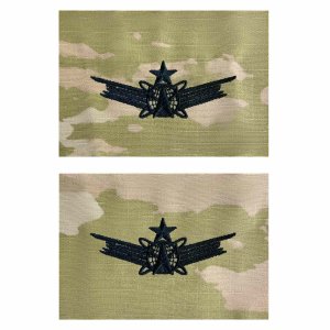 Army Embroidered Badge on OCP Sew On: Space, Senior