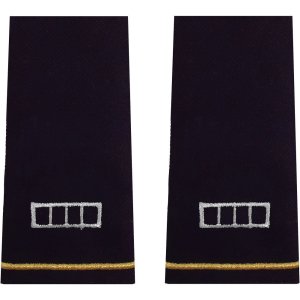 Army Epaulet: Warrant Officer 4, large