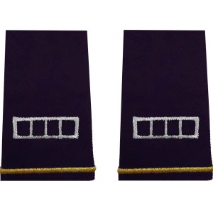 Army Epaulet: Warrant Officer 4, small