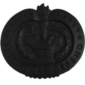 Army Identification Badge: Drill Sergeant, black metal