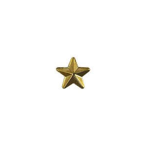 Army Identification Badge: Gold Star for Recruiter, Hard Corps metal finish