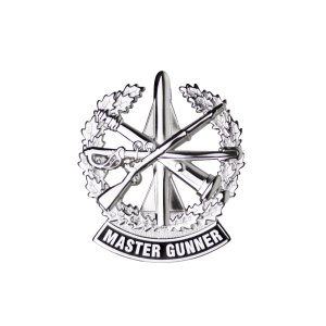 Army Identification Badge: Master Gunner, Silver Mirror