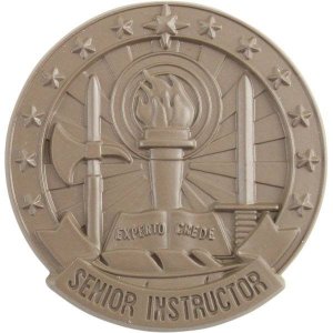 Army Identification Badge Subdued Metal: Senior Instructor, Brown