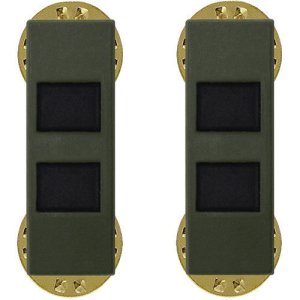 Army Insignia Rank: Warrant Officer 2, black metal