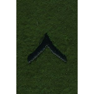 Army Leadership Rank Tab: Private