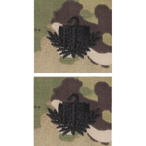 Army Officer Branch Insignia: Chaplain Candidate SEW ON, embroidered on OCP