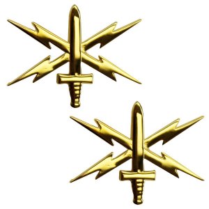Army Officer Branch of Service Collar Device: Cyber Warfare, 22k gold plated