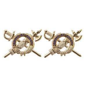 Army Officer Branch of Service Collar Device: Inspector General