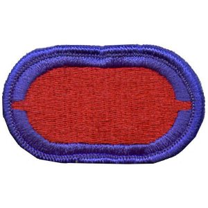 Army Oval Patch: 501st Infantry with Notch