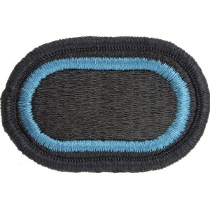 Army Oval Patch: Special Troops Battalion 173rd Airborne Brigade
