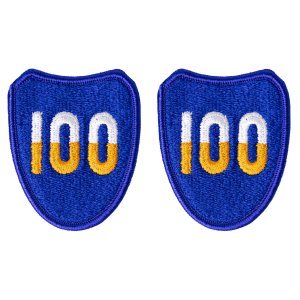 Army Patch: 100th Training Division, color
