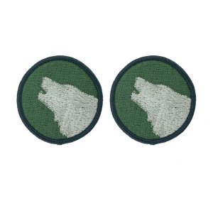Army Patch: 104th Training Division, color