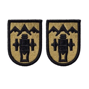 Army Patch: 169th Fires Brigade embroidered on OCP
