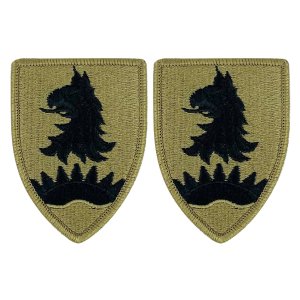 Army Patch: 221st Military Police Brigade, embroidered on OCP