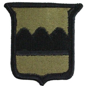 Army Patch: 80th Infantry Division Training, embroidered on OCP