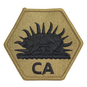 Army Patch: California National Guard CA Letters, embroidered on OCP